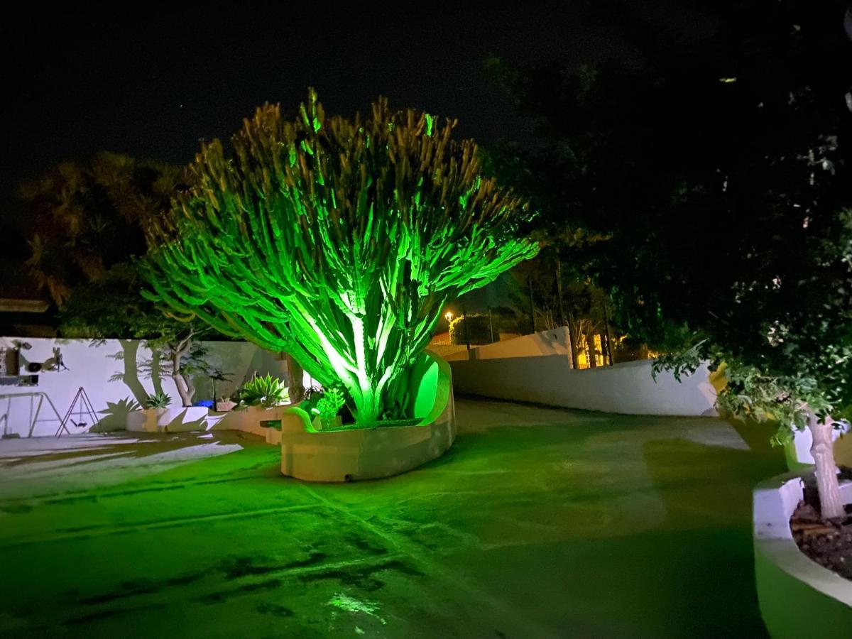סן מיגל דה אבונה Casa La Musa De Tamaide מראה חיצוני תמונה